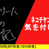 【日記】ﾈｺﾁﾔﾝに気を付けろ