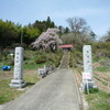瑞雲寺の桜