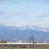 都立桜ケ丘公園、長沼橋付近で野鳥（幸せ）探し