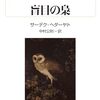 サーデク・ヘダーヤト『盲目の梟』を読む