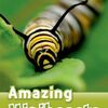 「小さいけれど、すごい！」— ミニビーストの世界を英語でのぞけます　ORDシリーズLevel 3『Amazing Minibeasts』のご紹介