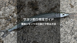 【初心者向け】サヨリの釣り方完全ガイド｜簡単なシモリウキ仕掛けで釣れる方法