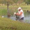 フロリダ州で男性が池でワニと格闘、食べられそうな子犬を救出