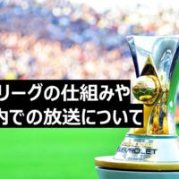 ブラジルリーグの仕組みや日本国内での放送について Jリーグブラジル人情報ブログ Braj ブラジルリーグの仕組みや日本国内での放送について Jリーグブラジル人情報ブログ Braj