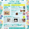 阪神甲子園｜コロワ甲子園リニューアル1周年「沖縄 WEEK」で様々なイベントが開催！