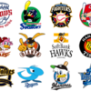 2019 プロ野球 FA 目玉選手まとめ 注目はこの選手だ！！
