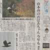 中日新聞