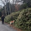 日光・太郎山へ、男体山の背中を拝む旅😜