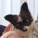 ベルとまったり暮らし