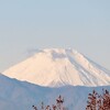 富士山いろいろ