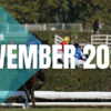 23/12/30 障害競馬日程 - November 2024 - 