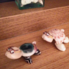 厳しいなぁ