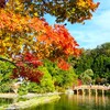 圧倒的な水鏡の絶景！白水阿弥陀堂が台風被害を乗り越え紅葉見頃へ（福島・いわき市）
