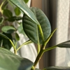 時を楽しむ