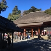 初詣。日向薬師の山道の参道