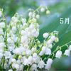 【2024年5月】五・七・五の5月 <俳句>