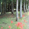 【伊勢の寺社】　平尾神社（伊勢市一宇田町）