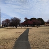 冬の公園