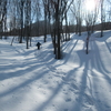 ◆山歩き２年目をふり返る②…春、真っ白な雪の上を歩いた。