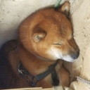 TK’s blog