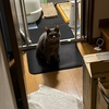 くろめ呼んでたのでいくと　なんでもなかったw