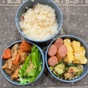 【お弁当】筑前煮のお弁当