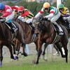 2015桜花賞予想【競馬】