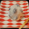 ★大福も美味しい！★　仙太郎　黒豆大福（こしあん）