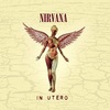 #0289) IN UTERO / NIRVANA 【1993年リリース】