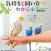 疲れた時にどうぞ。セキセイインコのほっこりをおすそ分け。