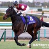 占いだけで競馬を予想し当てるシリーズ〜高松宮記念〜