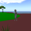 LowPoly World In OpenSimulator: やっと動いた！The first moving of LowPoly Character