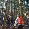 和宏さんの花巡礼2017「阿佐尻山」　春告げ草