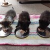さぼてんクライミング