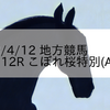 2023/4/12 地方競馬 船橋競馬 12R こぼれ桜特別(A2B1)
