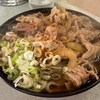 立喰　かめや　その三　(閉店)　〜肉そば・肉南蛮そばを極めてみる　その五十六〜