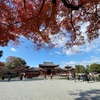 宇治平等院と興聖寺の紅葉 🍁　（2023.12.28追記）