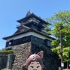 【福井】丸岡城の一期一会のお茶席と、勝山城博物館（2024.5）