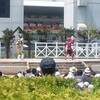 仮面ライダーフォーゼが来ました！　（パッパカパーク ）