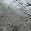 養老山系小倉山