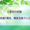 【回顧録】三度目の妊娠　妊娠7週目、稽留流産でした