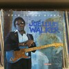 　　Joe Louis Walker　「COLD IS THE NIGHT」