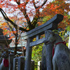 花山稲荷神社・再訪