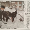 潮陵ラグビー部の除雪ボランティア