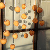 dried persimmon