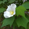 写生場所に悩む