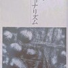 詩的ナショナリズム　仁平勝