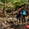 【北関東】仙人ヶ岳、アカヤシオ咲く栃木百名山日帰り登山の旅