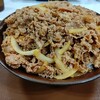 【体調サイコー】毎日キング牛丼98日目