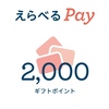 【当選品】３月２個目　パナソニック電池商品 えらべるpay　2000円分　(２０) 